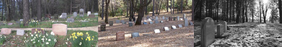 Cemetery seasons 1