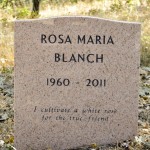 Rosa Maria Blanch - 800