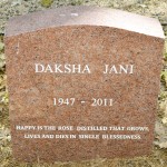 Daksha Jani - 800