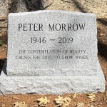 Peter Morrow - 800