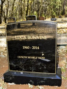 Luca Bonvini