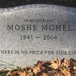 Moshe Mohel - 800